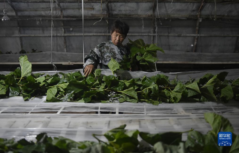 捕鱼游戏赢现金